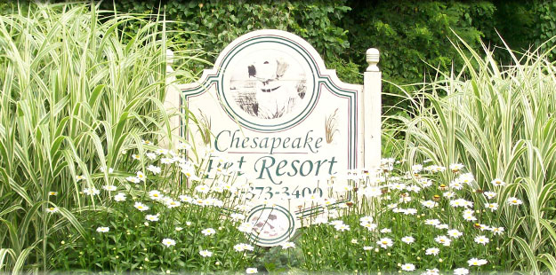 Chesapeake Pet Resort and Day Spa